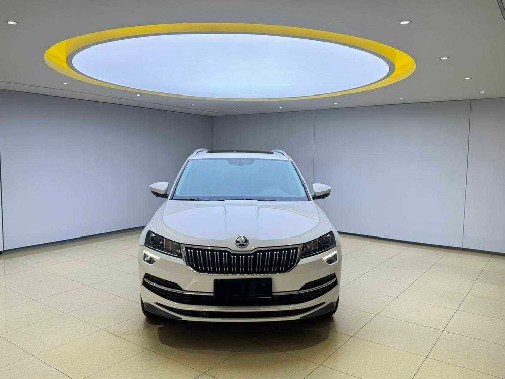 Skoda Karoq фото 8