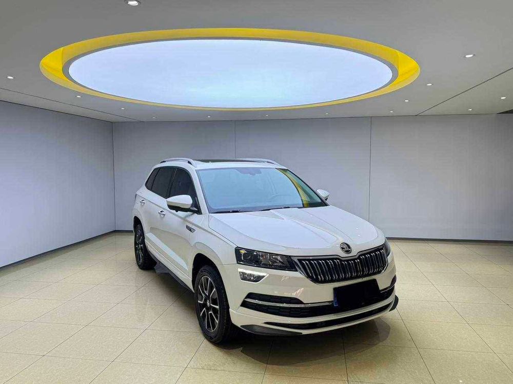 Skoda Karoq фото 9