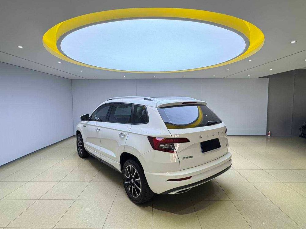 Skoda Karoq фото 10