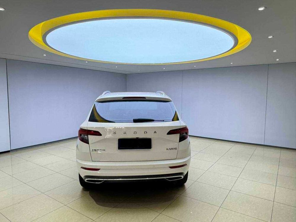 Skoda Karoq фото 11