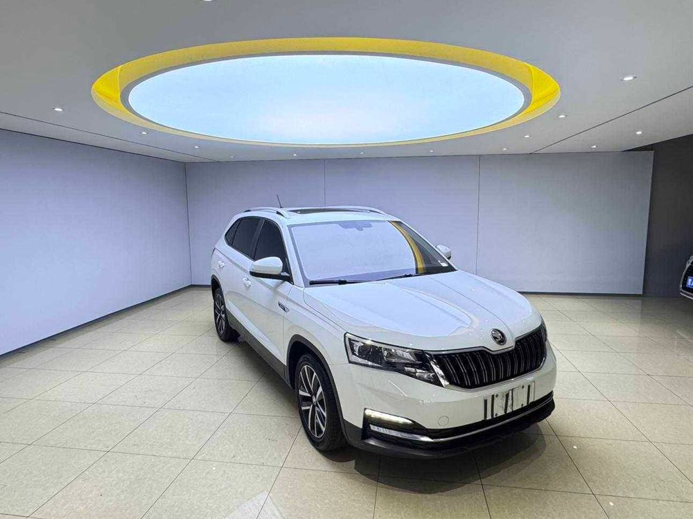 Skoda Kamiq фото 3