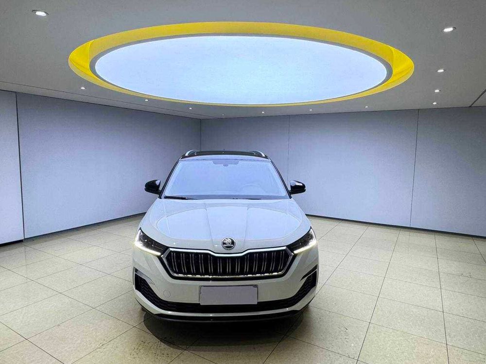 Skoda Kamiq фото 2