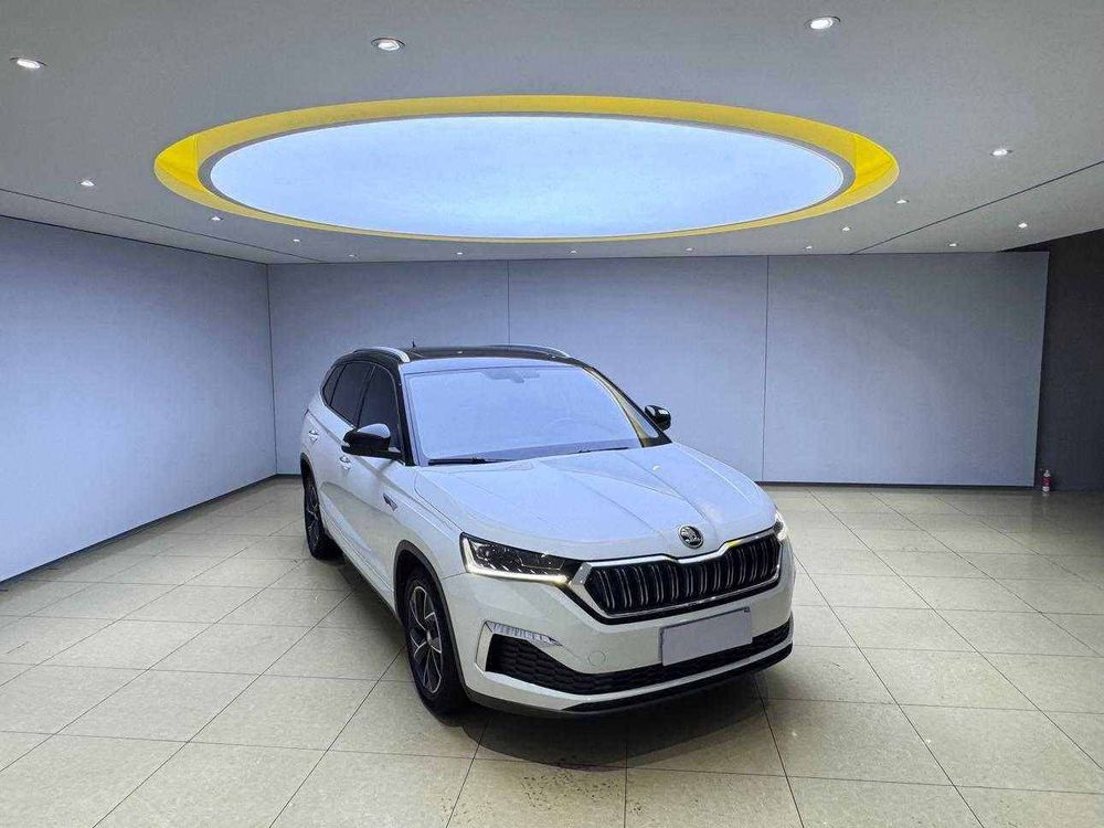 Skoda Kamiq фото 3