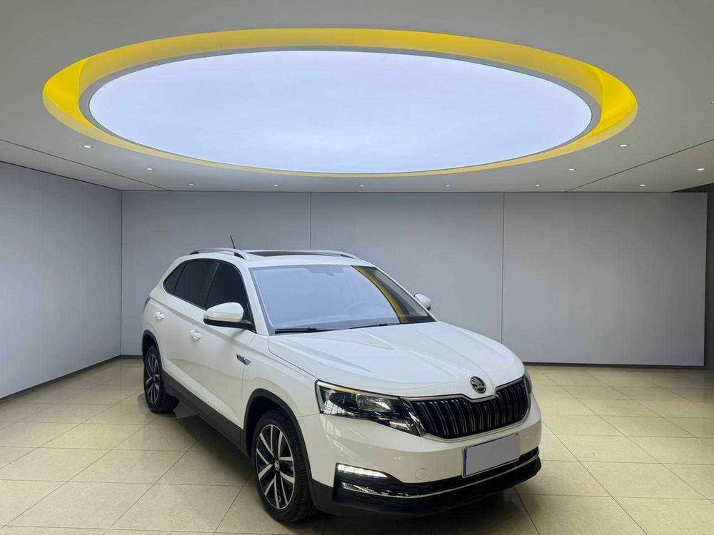 Skoda Kamiq фото 3