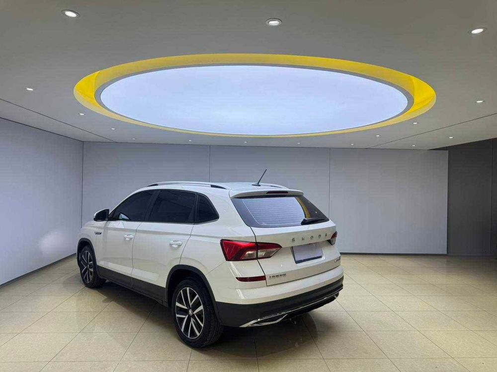 Skoda Kamiq фото 4
