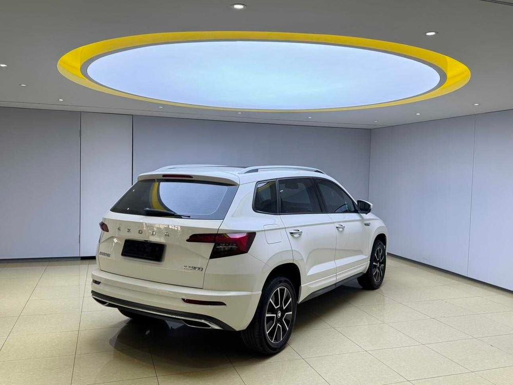 Skoda Karoq фото 2